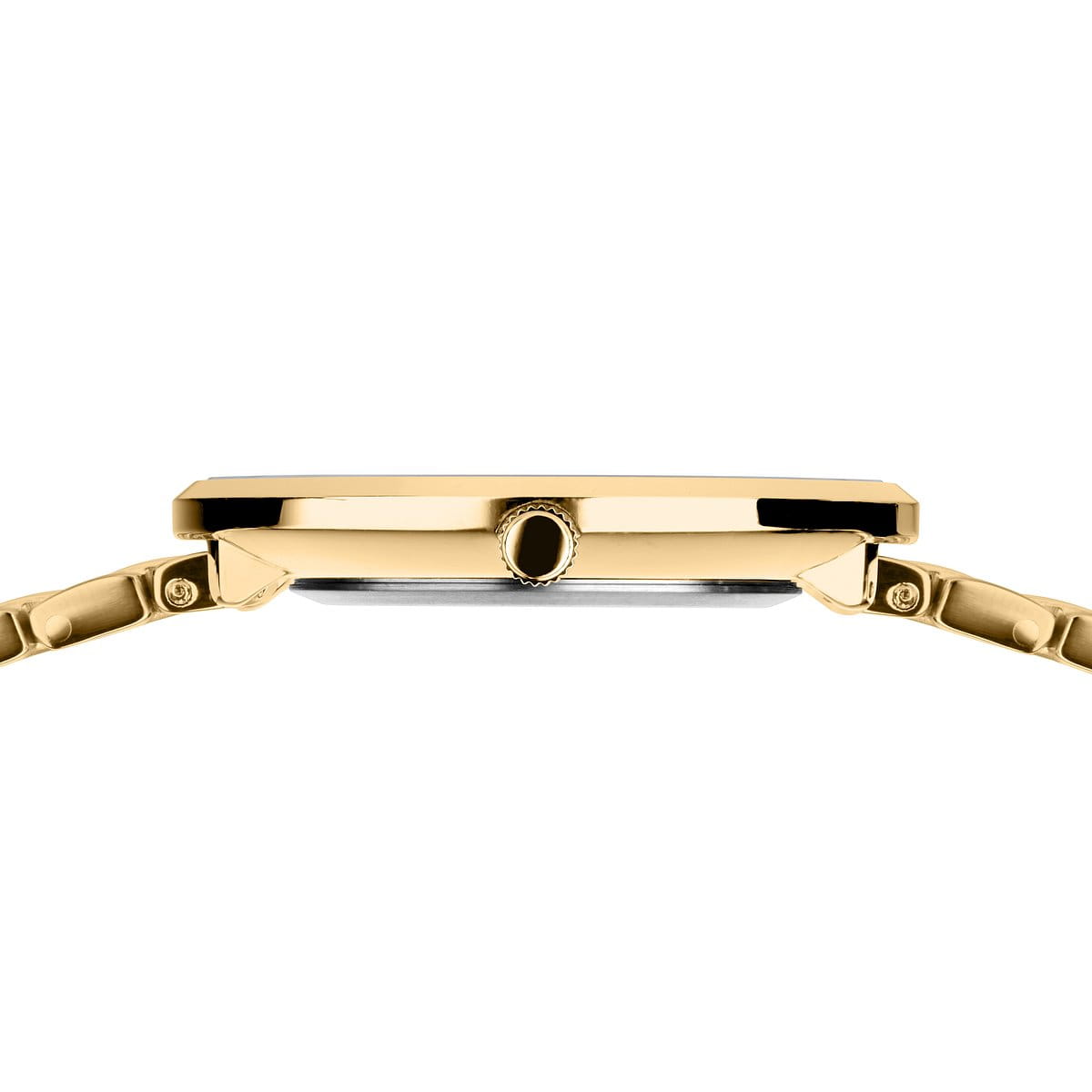 Titanium | polished gold | 19334-334